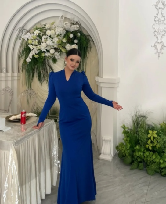 Glam Sheath Long Prom Dresses Chiffon Blue Evening Dresses Long Sleeves Blue Wedding Guest Dresses DP04086