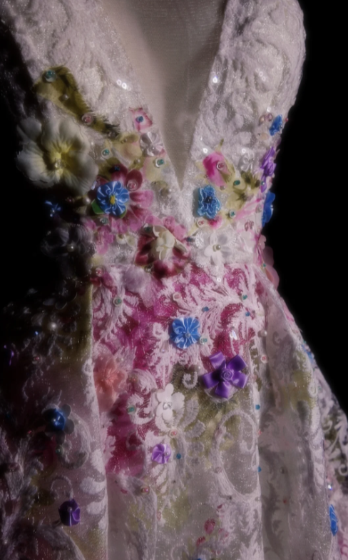 Chic V-Neck A-Line Long Prom Dresses Lace White Evening Dresses Sleeveless Birthday Dresses DP04288