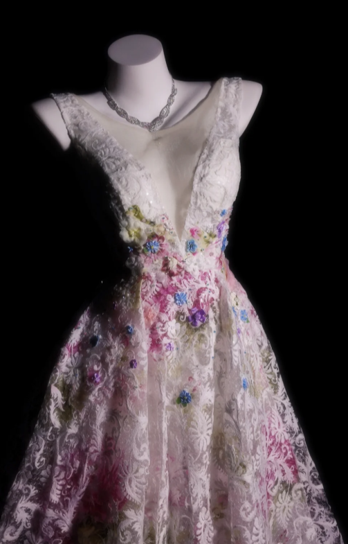 Chic V-Neck A-Line Long Prom Dresses Lace White Evening Dresses Sleeveless Birthday Dresses DP04288