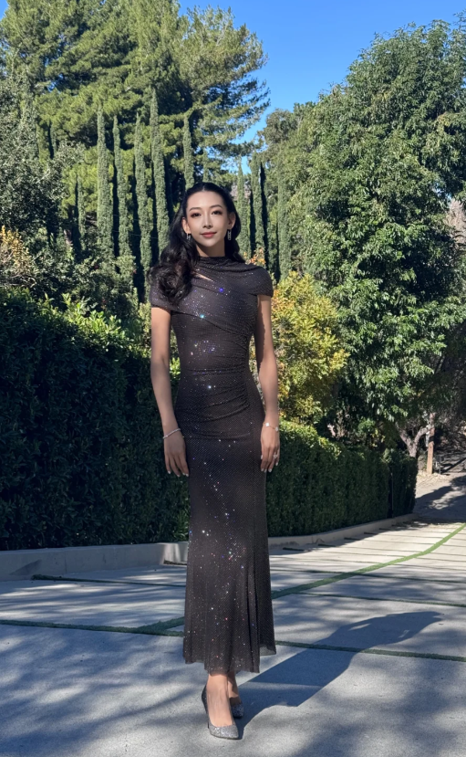 Glam Chocolate Sheath Long Prom Dresses Tulle Sleeveless Party Dresses Glitter Wedding Guest Dresses DP04638