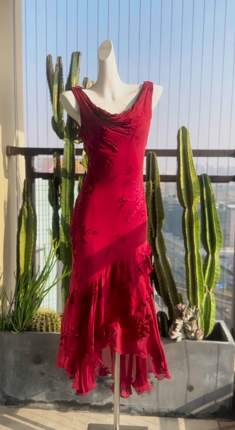 Chic Red Prom Dress Chiffon Beaded Evening Dress Sheath Birthday Dress DP05188