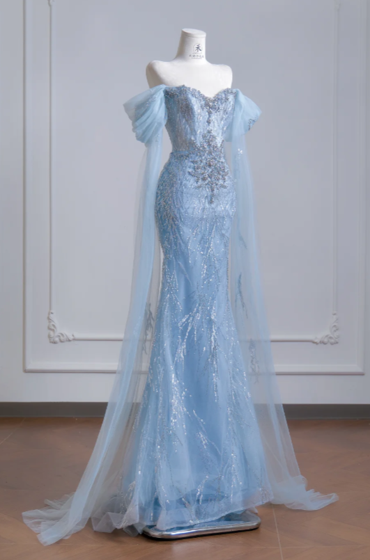 Chic Blue Evening Dress Off-shoulder Sheath Tulle Long Prom Dress DP05978