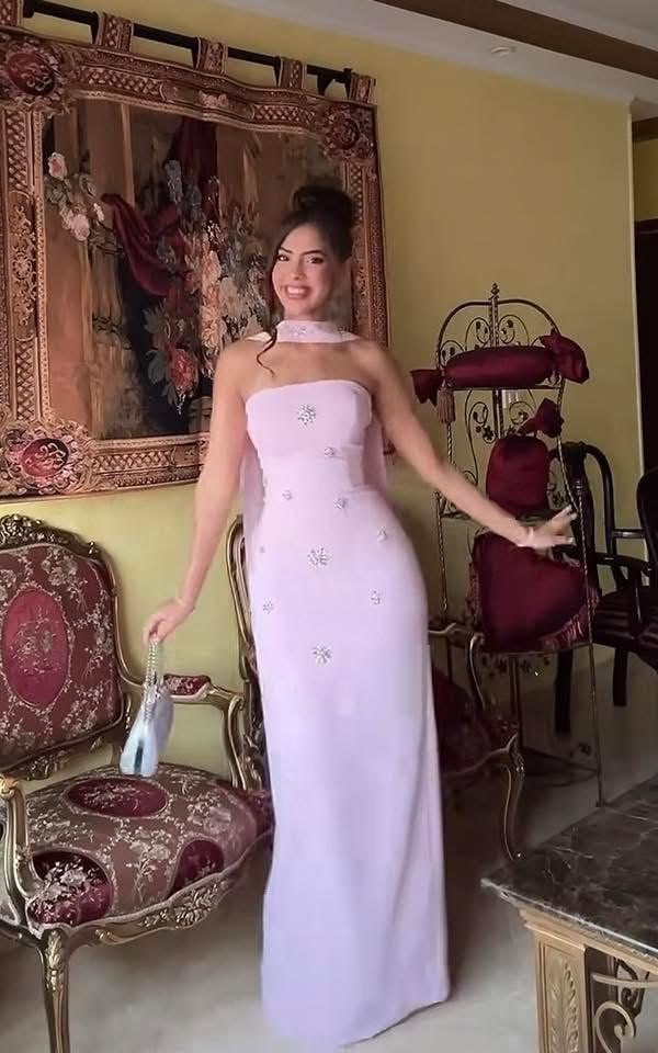 Elegant Pink Prom Dress Sheath Chiffon Long Evening Dress DP06636