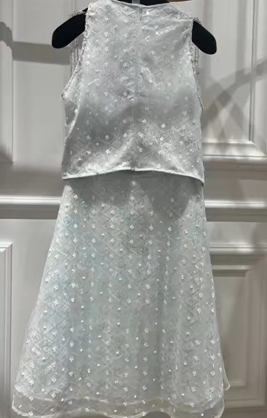 Fairytale Round Neck Sheath Homecoming Dress Chiffon Beaded Short Birthday Skirt Sequin Sweet Party Dress DP2808