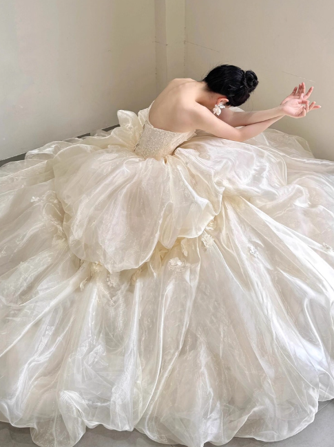 Elegant Strapless Ball Gown Tulle Long Luxury Wedding Dresses Light Champagne Sleeveless Bridal Gowns DP3019