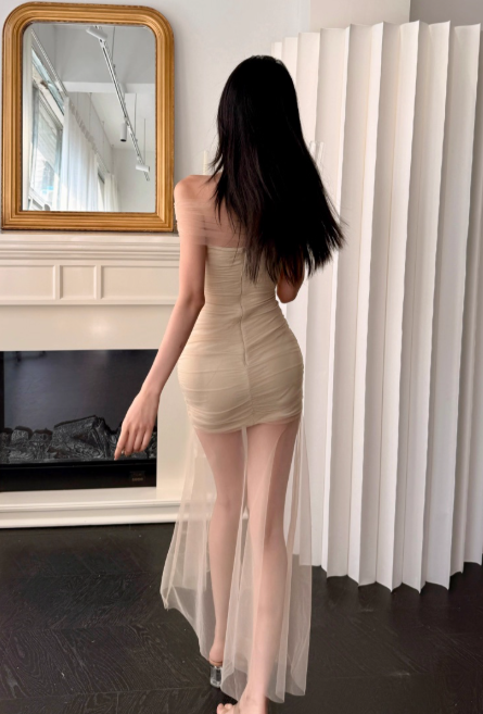 Sexy Off-the-shoulder Sheath Tulle Long Prom Dresses, Light Champagne Formal Evening Dresses DP3133