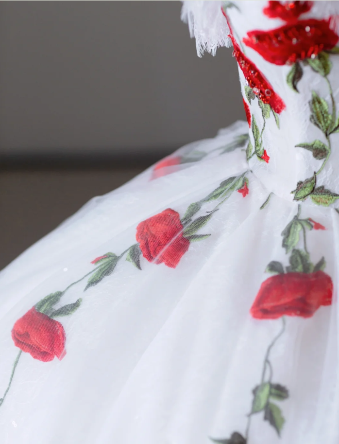 Classy Ball Gown Sweetheart Red White Tulle Prom Dresses Birthday Dresses Dance Party Dress Graduation Prom Dresses DP511