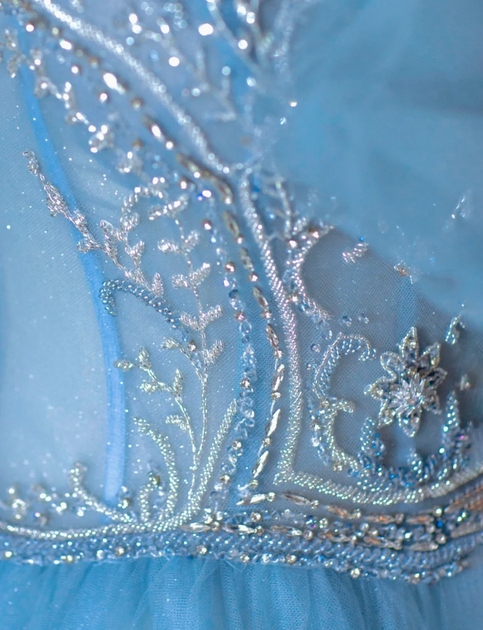 Pretty Ball Gown Strapless Blue Tulle l Sleeveless Long Prom Dresses Evening Dresses DP520