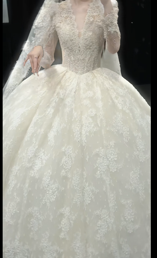 Luxury Ball Gown Long Wedding Dresses Lace Applique White Bridal Gowns Long Sleeve Bridal Dresses DW3792
