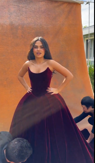 Sexy Ball Gown Strapless Velvet Burgundy Ruffles Long Birthday Dress Birthday Outfits Graduation Dresses D2578
