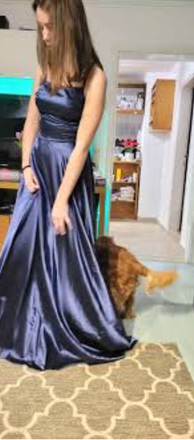 Elegant A Line Spaghetti Straps Navy Blue Satin Long Prom Dresses Party Dress Summer 20th Birthday Outfits 18th Birthday Dresses DH487