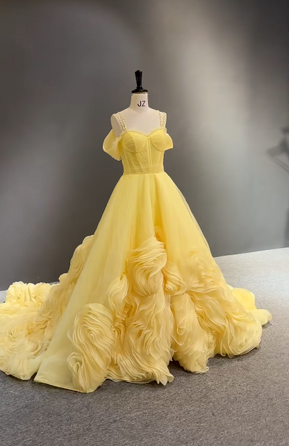 Glam Off-shoulder Ball Gown Long Prom Dresses, Tulle Appliques Yellow Evening Dresses DP04076