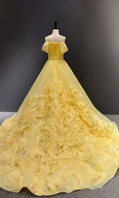 Glam Off-shoulder Ball Gown Long Prom Dresses, Tulle Appliques Yellow Evening Dresses DP04076
