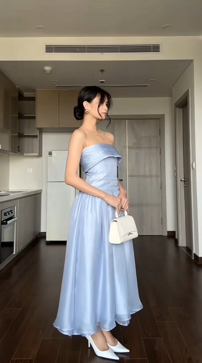 Simple Strapless Sheath Blue Wedding Guest Dresses Tulle Sleeveless Evening Dresses DP04206