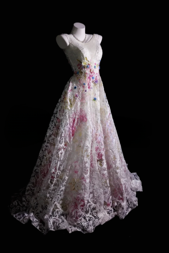 Chic V-Neck A-Line Long Prom Dresses Lace White Evening Dresses Sleeveless Birthday Dresses DP04288