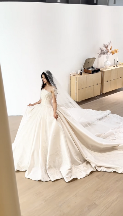 Glam Strapless Ball Gown Long Wedding Dresses Satin Appliques White Bridal Gown Sleeveless Bridal Gowns DP04367