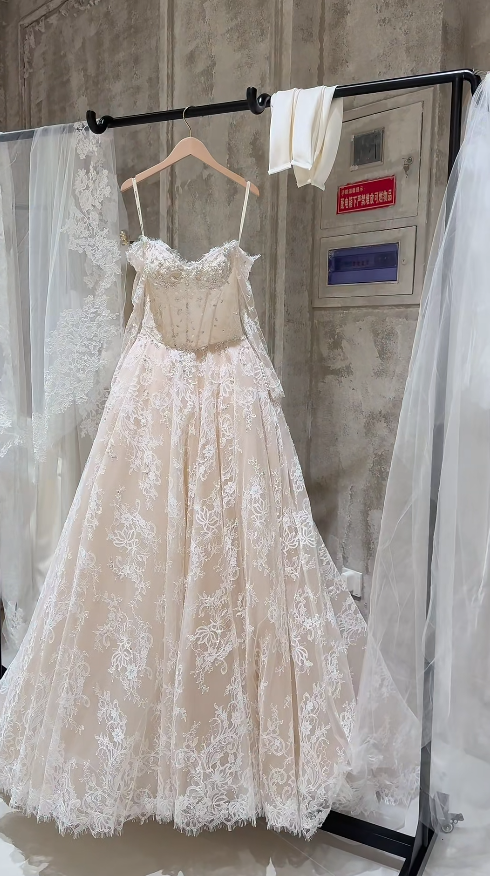 Timeless A-Line Long Wedding Dresses Lace Beaded Bridal Gowns Long Sleeves Bridal Dresses DP04415