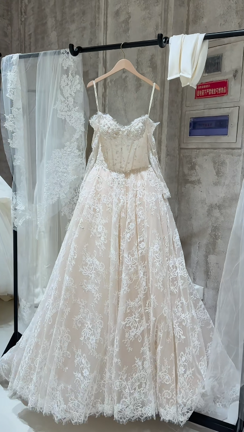 Timeless A-Line Long Wedding Dresses Lace Beaded Bridal Gowns Long Sleeves Bridal Dresses DP04415