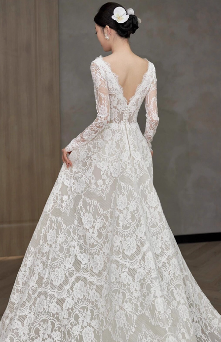 Simple A-Line Long Wedding Dresses Lace V-neck White Bridal Dresses Appliques Long Sleeves Bridal Gowns DP04493