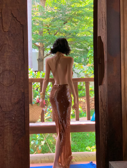 Elegant Halter Sheath Long Prom Dresses Sequins Sleeveless Evening Dresses DP04507