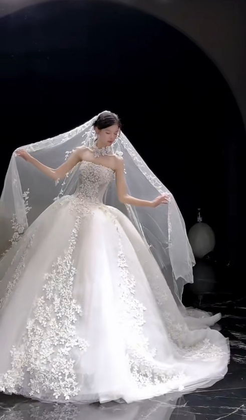 Chic A-Line Long Wedding Dresses Tulle Appliques White Bridal Gowns Strapless Bridal Dresses DP04791