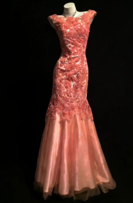 Elegant Mermaid Coral Long Prom Dress Tulle Applique Bateau Evening Dress Sleeveless Party Dress DP04827