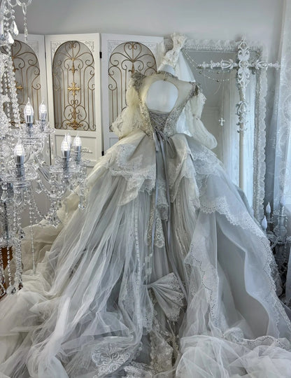 Gorgeous A-Line Gray Long Wedding Dress Jewel Tulle Beaded Bridal Dress Long Sleeves Bridal Gown DP04868