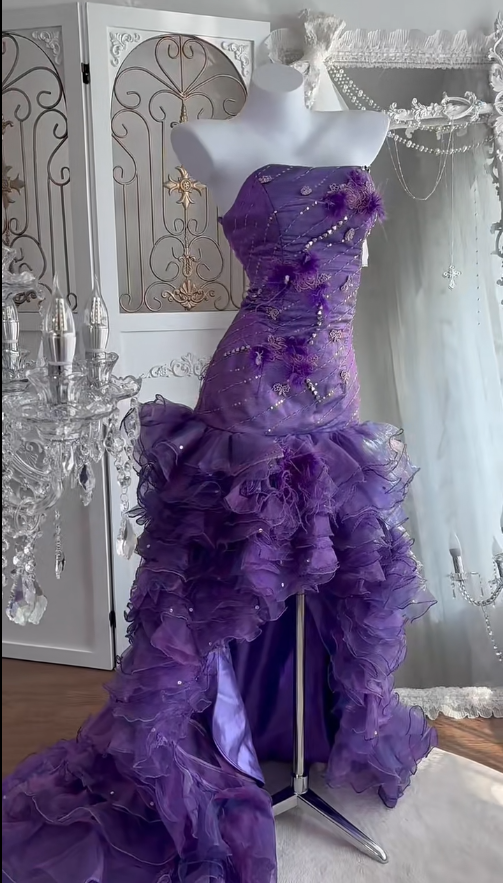 Gorgeous Purple Hi-lo Prom Dress Strapless Sheath Evening Dress Tulle Appliques Sleeveless Birthday Dress DP04953