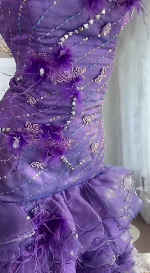 Gorgeous Purple Hi-lo Prom Dress Strapless Sheath Evening Dress Tulle Appliques Sleeveless Birthday Dress DP04953