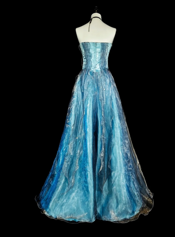 Chic Blue Prom Dress Strapless A-Line Long Evening Dress Tulle Appliques Sleeveless Party Dress DP05041