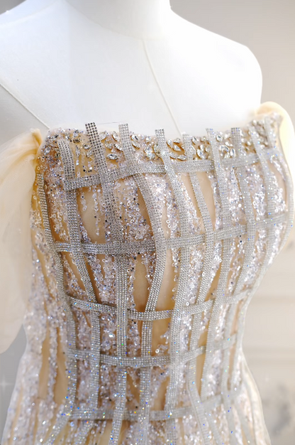 Elegant Champagne Prom Dress Sequins Tulle Evening Dress A-Line Birthday Dress DP05171