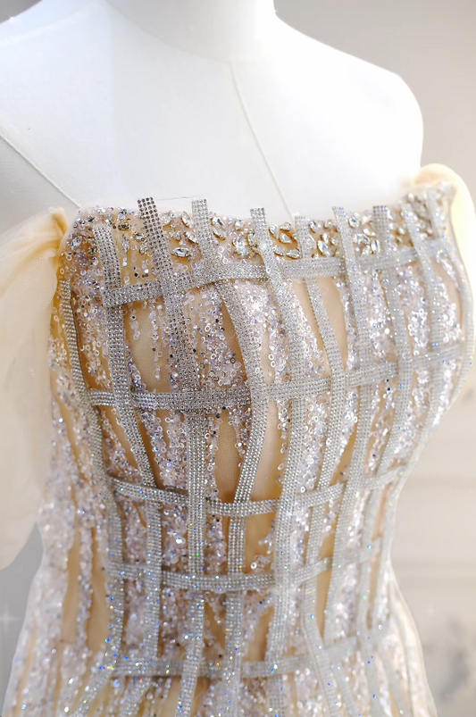 Elegant Champagne Prom Dress Sequins Tulle Evening Dress A-Line Birthday Dress DP05171