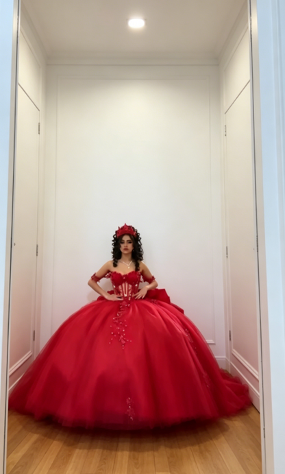Elegantes schulterfreies Ballkleid, Geburtstagskleid, Tüll-Applikationen, Quinceañera-Kleid, Burgund, Sweet 16 Kleid  DP05559
