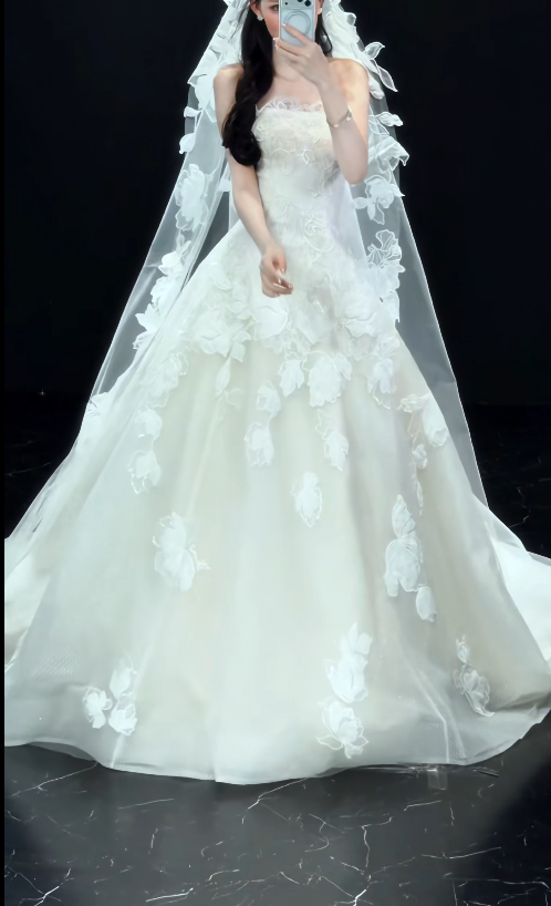 Robe de mariée modeste bustier trapèze en tulle avec appliques Robe de mariée blanche DP05822