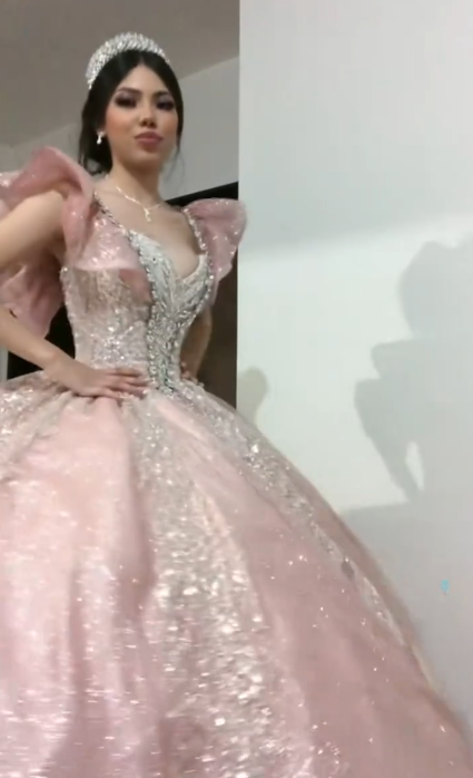 Gorgeous V-neck Ball Gown Tulle Quinceanera Dress Applique Pink Sweet 16 Dress DP06049