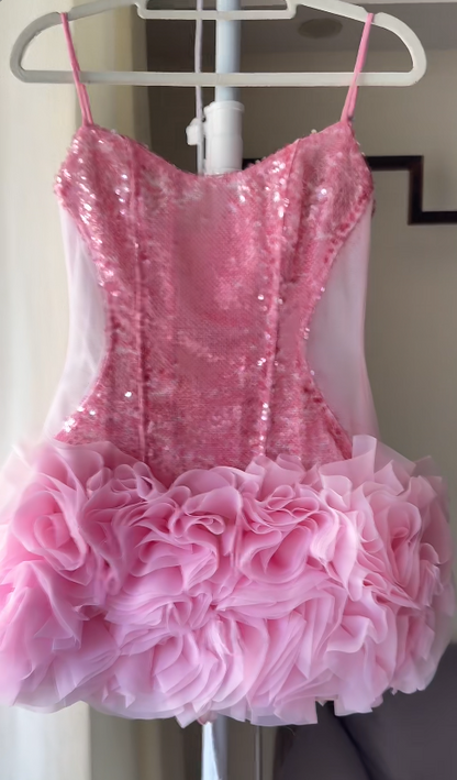 Chic Pink Hoco Dress  Bodycon Dress  for Party Dress Tulle Sequins Birthday Dress DP06159