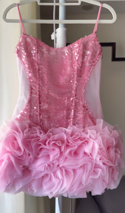 Chic Pink Hoco Dress  Bodycon Dress  for Party Dress Tulle Sequins Birthday Dress DP06159