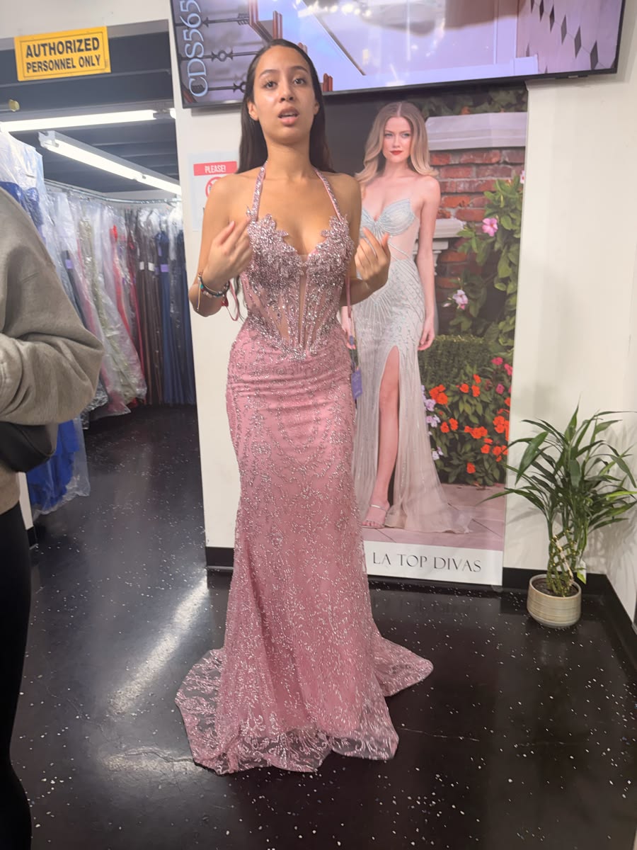 Pretty Pink Prom Dress Sheath Tulle Long Evening Dress DP06950