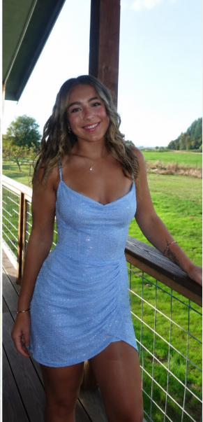 Fashion Blue Sheath Sequins Birthday Dress DP06981
