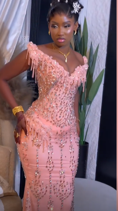 Élégante Robe de Bal Longue Rose Fourreau en Tulle Perlé Robe de Soirée DP07099