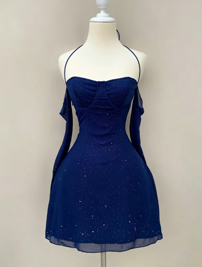 Beautiful Blue Short Homecoming Dress Sheath Chiffon Birthday Dress DP07188