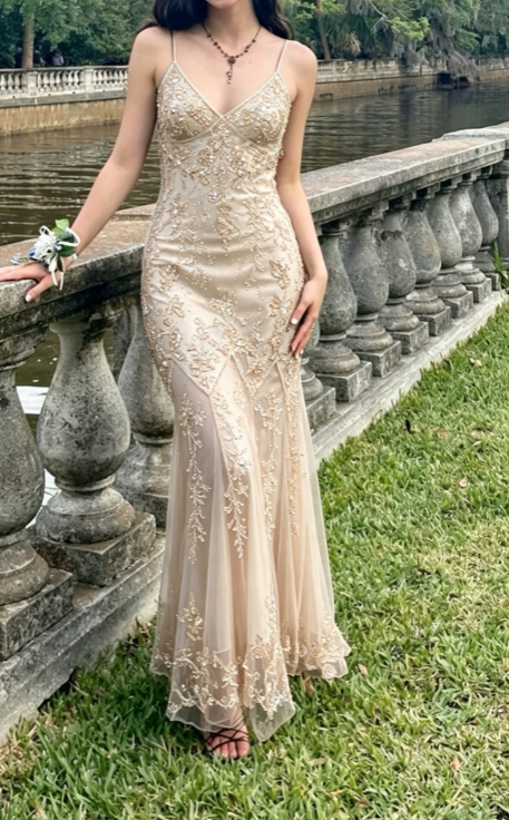 Chic Champagne Prom Dress Sheath Chiffon Beaded Long Evening Dress DP07330
