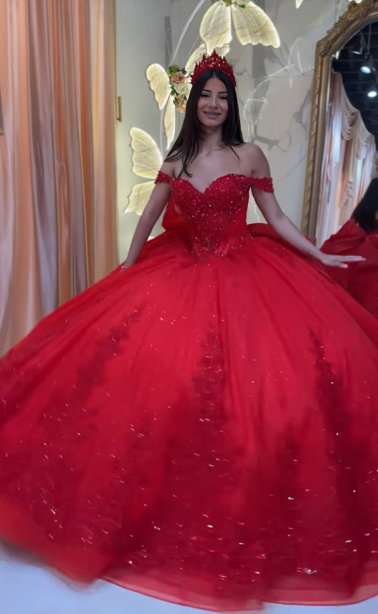 Gorgeous Red Ball Gown Quinceanera Dress Tulle Applique Sweet 16 Dress DP07451