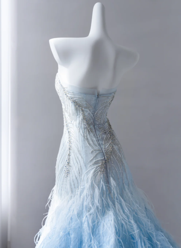 Blue Prom Dress A-Line Tulle Long Evening Dress DP07495