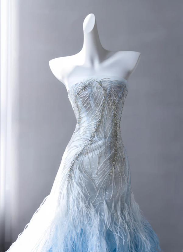Blue Prom Dress A-Line Tulle Long Evening Dress DP07495