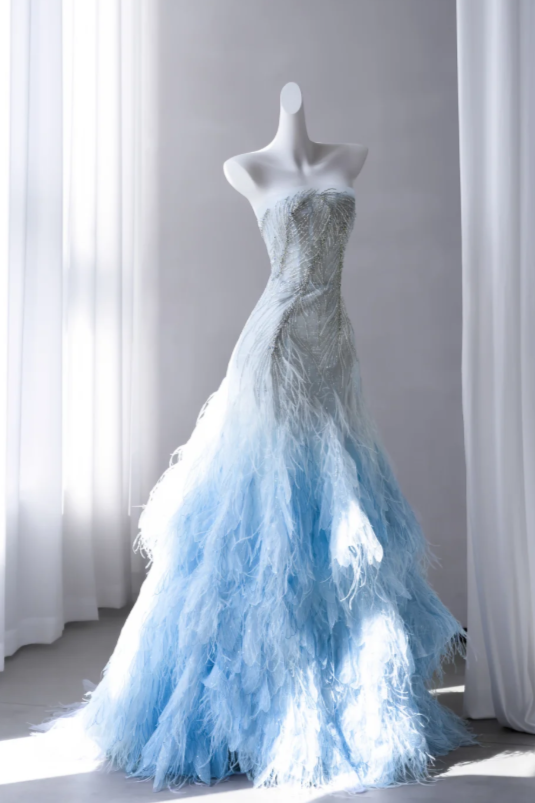 Blue Prom Dress A-Line Tulle Long Evening Dress DP07495