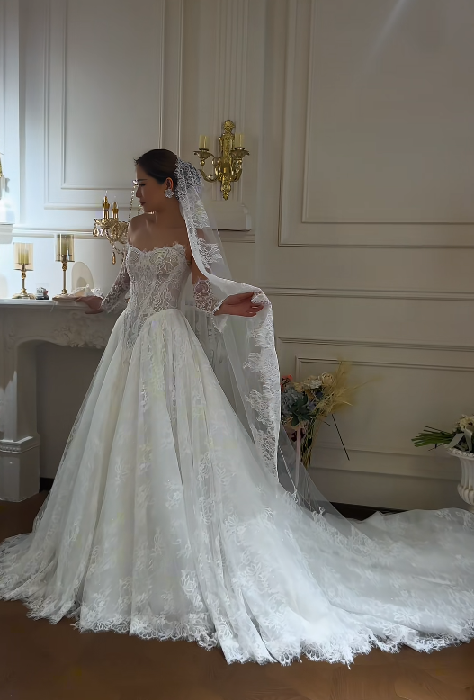 Classy White Bridal Dress A-Line Wedding Dress Lace Bridal Gown DP07716