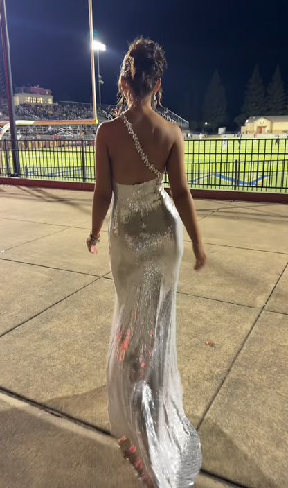 Pretty Silver Prom Dress Sheath Sequins Long Evening Dress DP08114