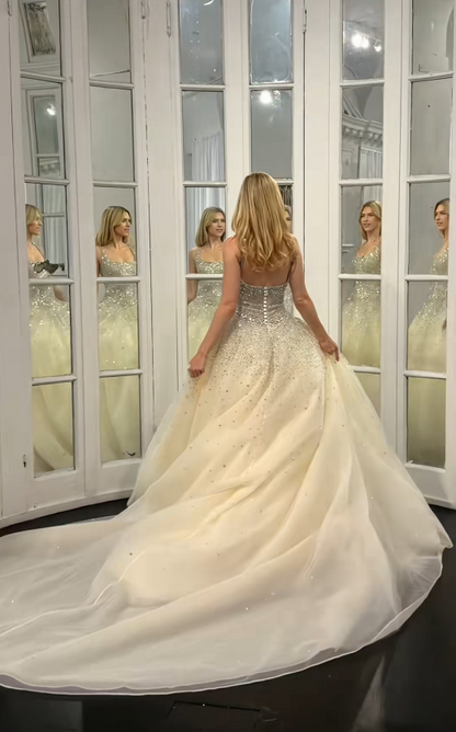 Pretty Light Champagne Bridal Gown A-Line Sequins Tulle Long Wedding Dress DP08192