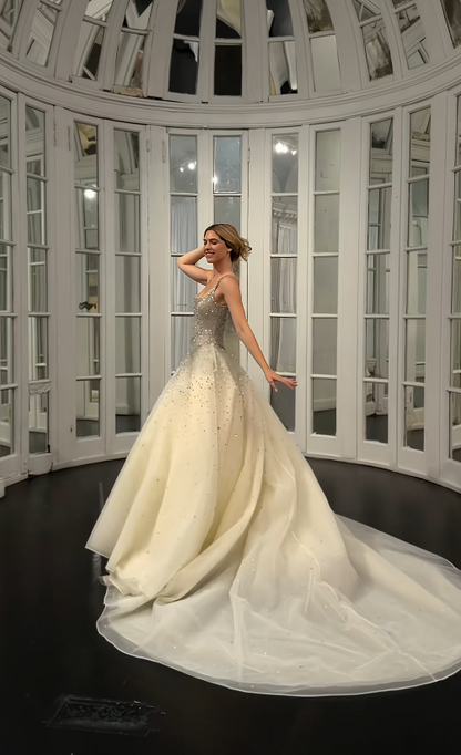 Pretty Light Champagne Bridal Gown A-Line Sequins Tulle Long Wedding Dress DP08192